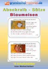 Abschreibsätze_Blaumeisen_SAS.pdf